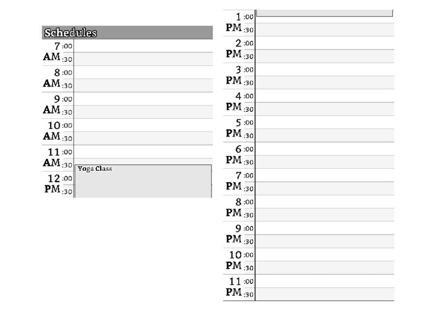 The Ledger Schedule widget on the home screen showing today's hour grid